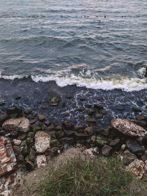 Куршская коса: уникальная полоска земли между морем и заливом