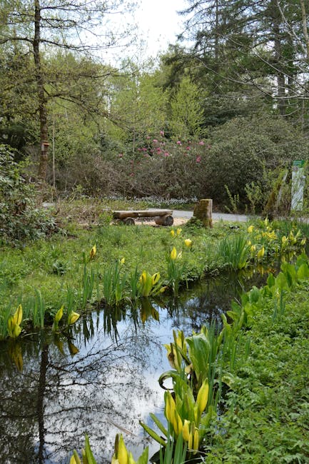 Плато Путорана: затерянный мир в центре Сибири